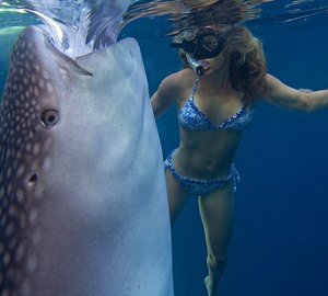 The 49m Yacht TRUE NORTH