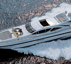 African Cat - Exterior