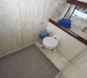 Cabin Toilet Shower