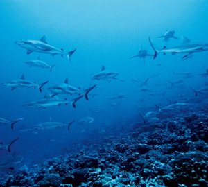 Yacht Charter Location  