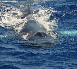 Adventures On GLOBAL