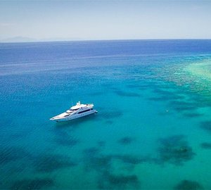 Flying Fish At Anchor