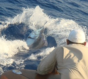 The 40m Yacht MEA CULPA