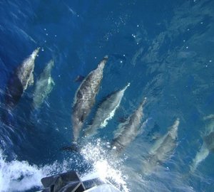 The 30m Yacht BESAME