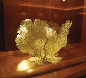 Close Up Aboard Yacht YOU & ME