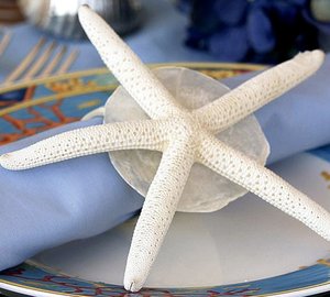 Napkins: Yacht ELEGANT 007's Close Up Pictured