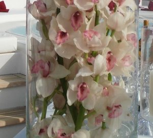 Flowers: Yacht ELEGANT 007's Close Up Captured