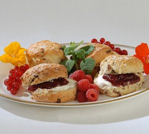 The 20m Yacht MORE MAGIC