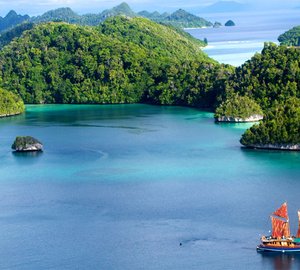 Tiger Blue In Indonesia 