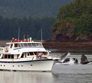 ALASKAN STORY - Main