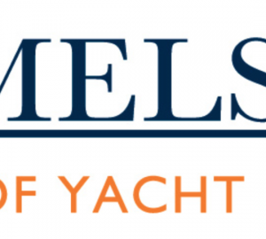 AMELS_LOGO