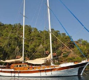 ARIELLE I  -   Profile