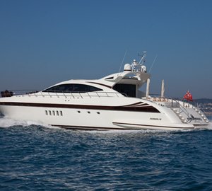 BEAR MARKET -  Cruising