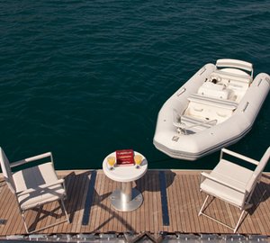 BEAR MARKET -  Swim Platform and Tender