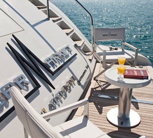 BEAR MARKET -  Swim Platform