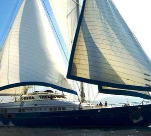 Blue Gold - Profile.