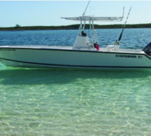 CHRISTINE -   Tender