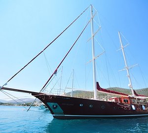 CasaDell Arte II - Profile