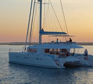 Cat FEEL SO GOOD -  At Sunset