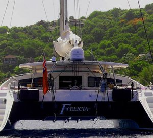 Cat FELICIA -  Aft View