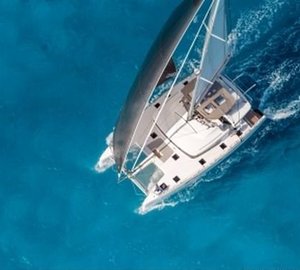 Cat FREEDOM -  From Above