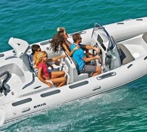 Cat FREEDOM -  Tender