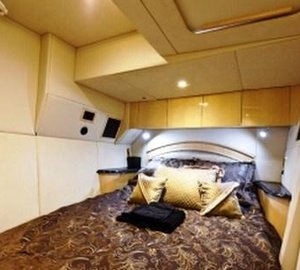 Cat ICE WARS II -  Guest Cabin