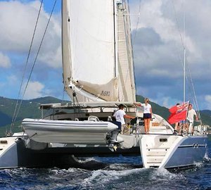 Cat MARMOT -  Aft View