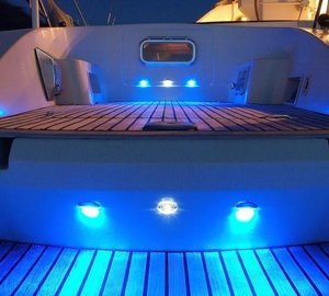 Cat MARMOT -  Deck at Night