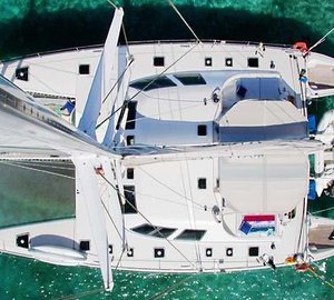 Cat MARMOT -  From Above