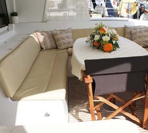 Cat MOONLIGHT -  Cockpit