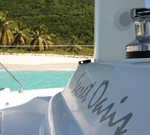 Cat SECRET OASIS - Deck Detail