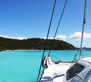 Cat SECRET OASIS - In the Carribean