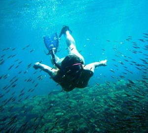 Cat SOTERION -  Diving in the Caribbean