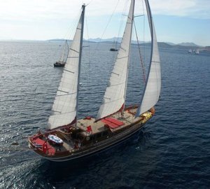 Cobra Queen - Sailing