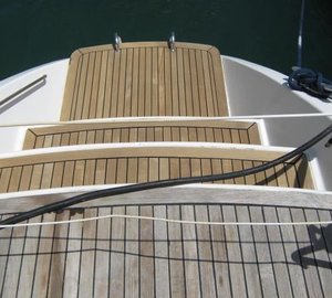 DELPHINE -  Swim Platform