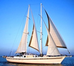 Dame des Tropiques -  Main