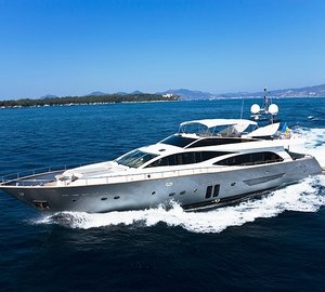 HUMMINGBIRD - Cruising