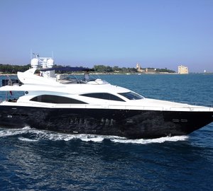 Honey Bear - Profile