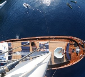 MS MEZCAL -  From Above