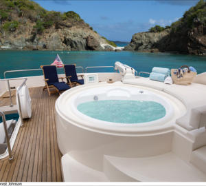 MY CRYSTAL PARROT - Sundeck Jacuzzi