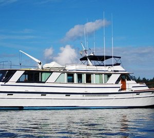 Morning Mist -  At Anchor