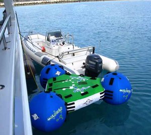 Olga -  Tender and Molecule