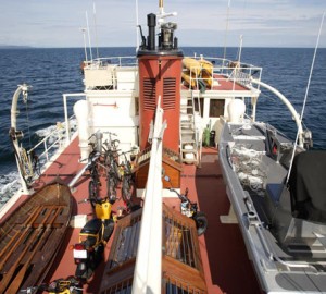 PACIFIC YELLOWFIN -  On Deck