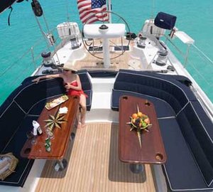 Patient Falcon from Above