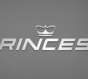 Princess logo1