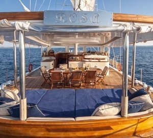 ROSA - Looking forward