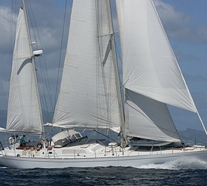 SHAITAN OF TORTOLA -  Profile