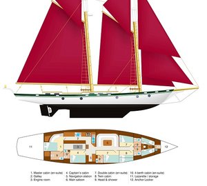 Schooner Dallinghoo - Layout