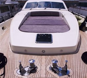 Sea lion II -  Forepeak